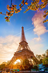 Fototapeta na wymiar Eiffel Tower against sunrise in Paris, France