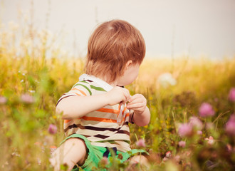 boy at summer meadow