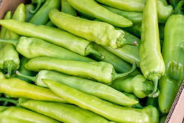 Farmers market green pepper in a crate