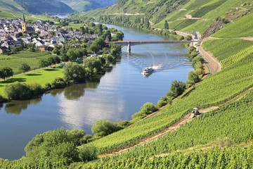 Trittenheim an der Mosel