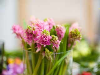 Obraz premium flowers in vase