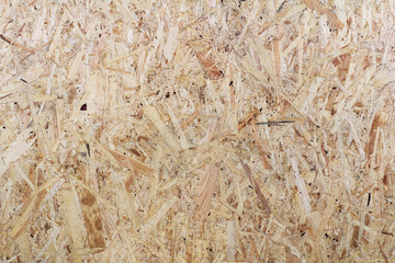 Sheet of plywood