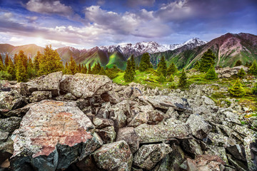 Fototapety na wymiar - Fototapeta24.pl