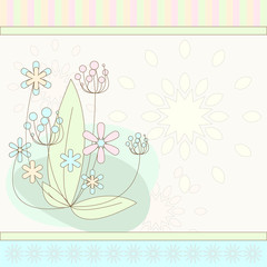 flowers on soft background