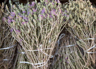 Wild thyme on the market