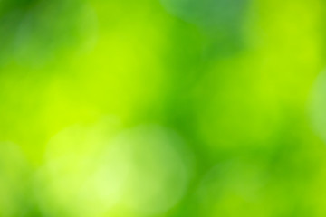 green nature background