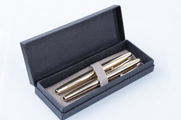 case with fountain pens