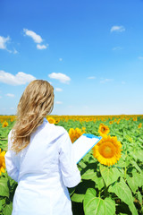 Agronomist with folder in sunflowers field