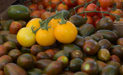 Heirloom Tomatoes