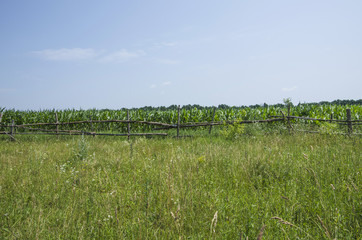 Fence in the green field