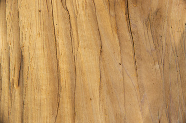 Fototapeta premium Texture of wood background closeup