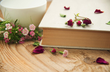 Dry roses and old book. Toned image