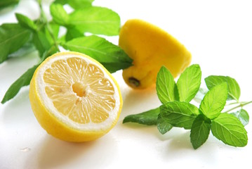 lemon and mint © Botamochy