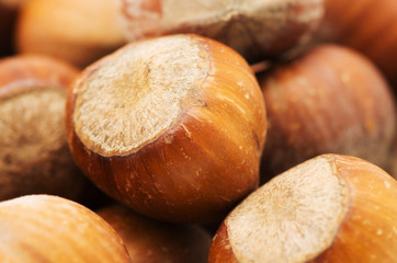 hazelnuts