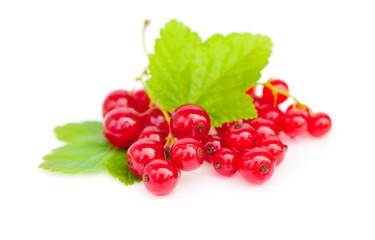 Red currants and green leaves on white background