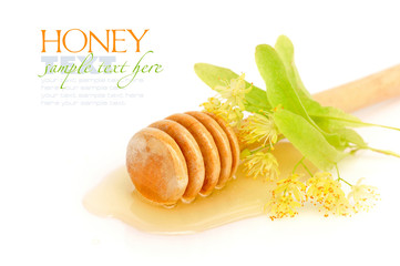 Honey dipper with honey with flowers of linden on white backgrou