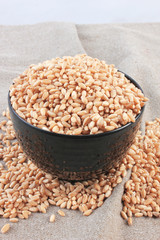 wheat in bowl & outside bowl isolated