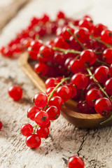 Organic Raw Red Currants