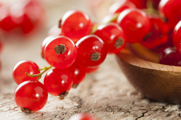 Organic Raw Red Currants
