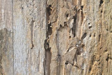 close up dark brown wood texture
