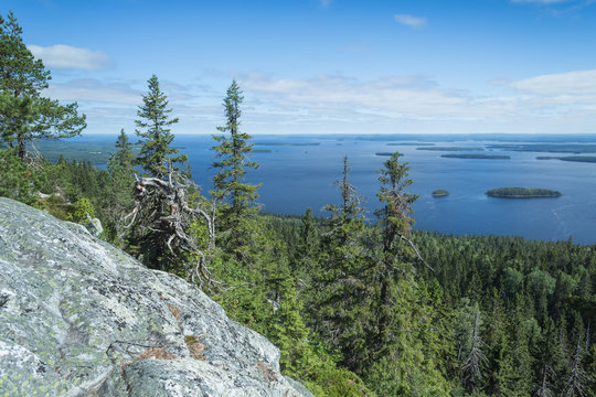 View from the Koli to lake Pielinen