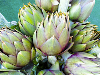 Artichokes raw food