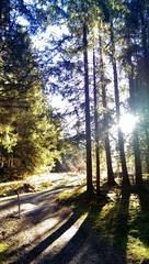 Obraz premium Spaziergang