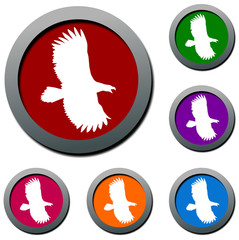 eagle  bird set of colorful vector icons