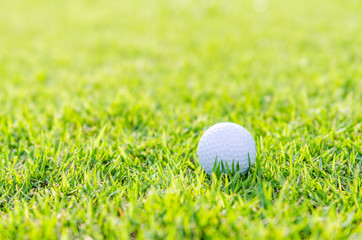 Golf ball on green grass