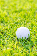 Golf ball on green grass