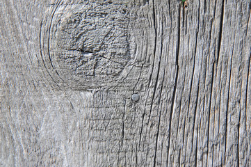 Shot of old wooden textured background, close up