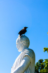A bird stand on statue