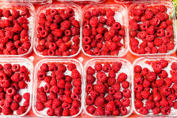 Rasberry