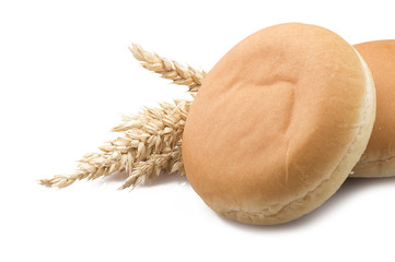 Sandwich for hamburger with ears of corn on white © Orlando Bellini