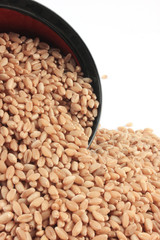 wheat in bowl & outside bowl isolated