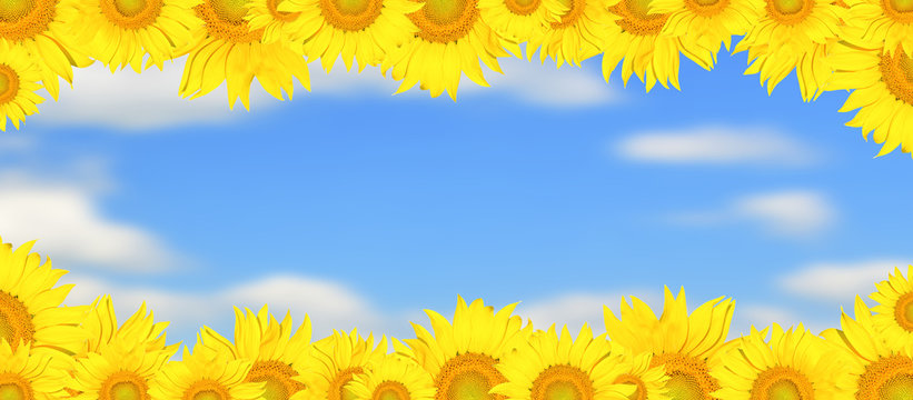 Sunflower frame