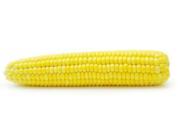  maize