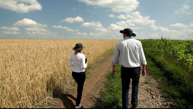 Woman and man looking at the fields