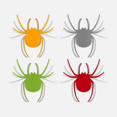 realistic design element: spider