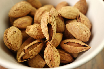 殻付き焼きアーモンド