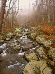 Shenandoah National Park Virginia