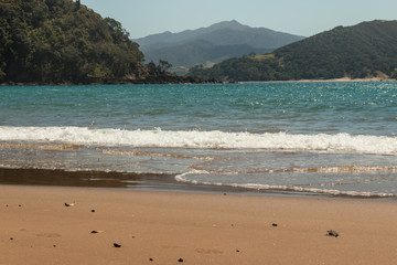 sandy beach at Waikawau Bay, Coromandel Peninsula