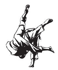Judo fight