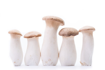 Eryngii mushroom five pieces isolated