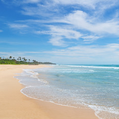 Fototapeta na wymiar ocean and coconut palms on the shore