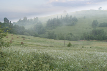 Gorce góry w paśmie Beskidów z widookiem na Tatry, 