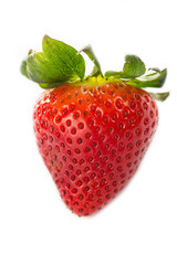 Strawberries berry isolated