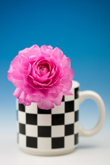 ラナンキュラス