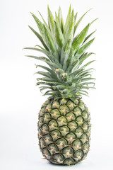 Fototapeta premium Pineapple