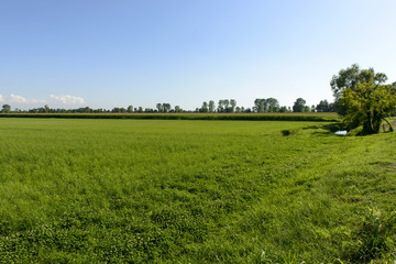 Adda park country landscape near Abbadia Cerreto